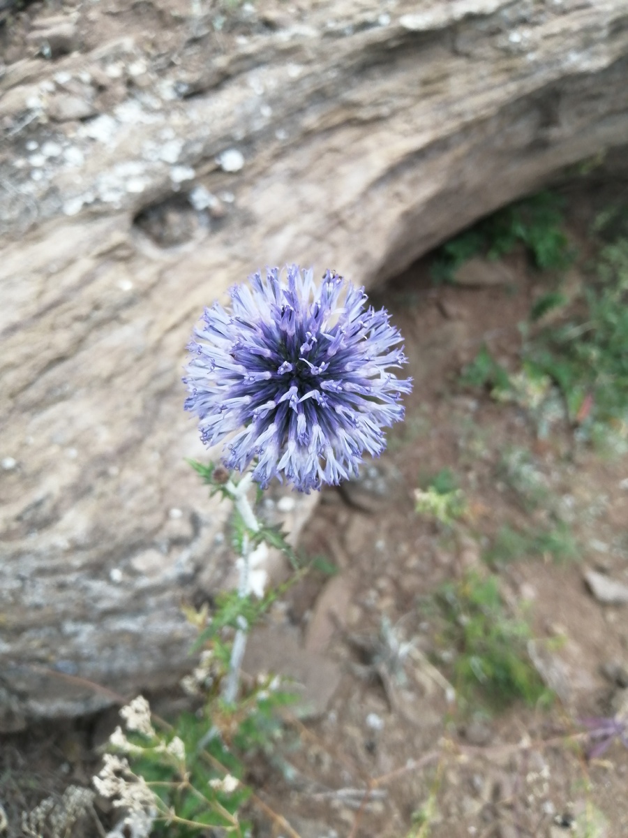 Фото для привлечения внимания