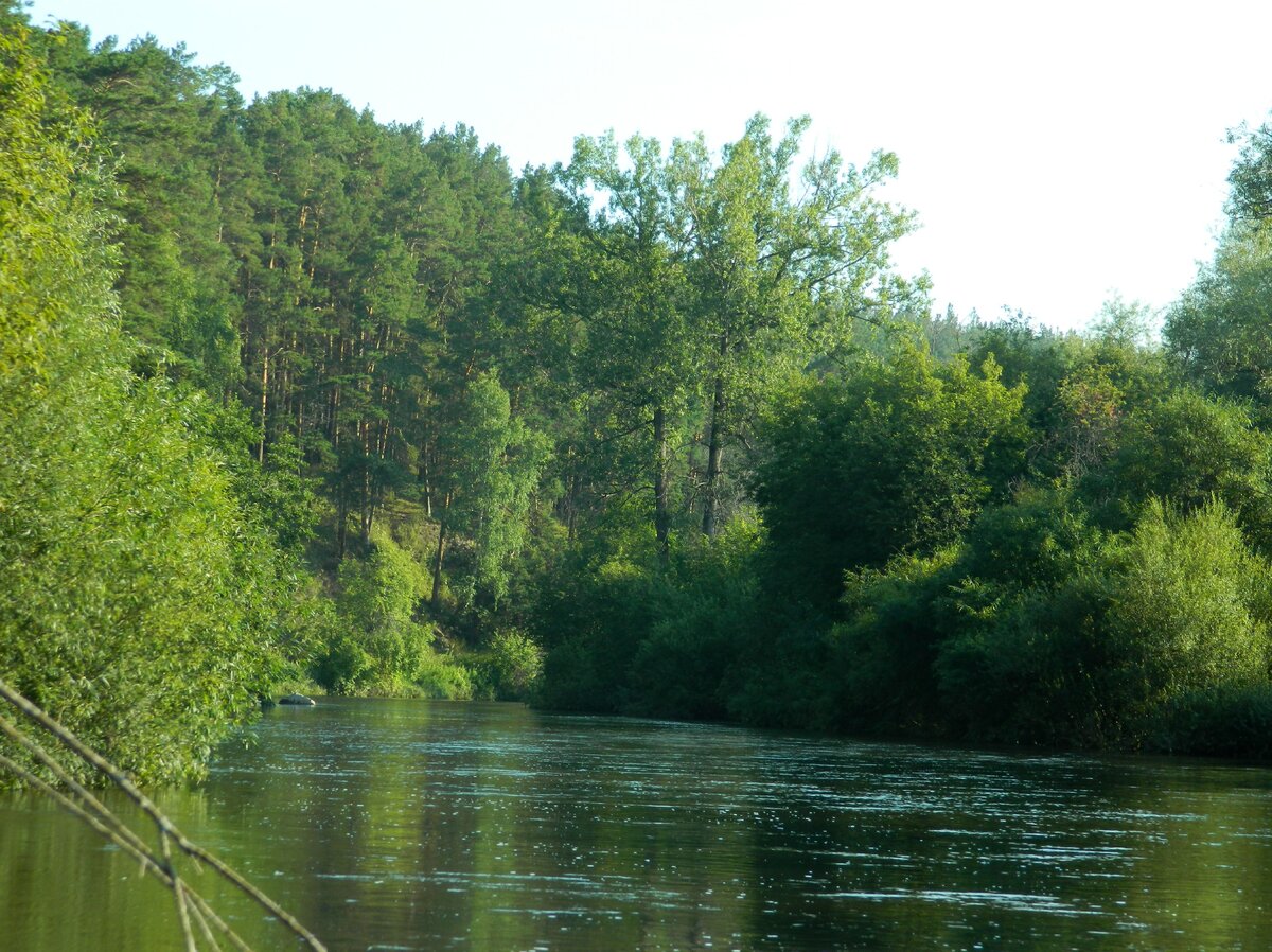Белая река, капли о былом