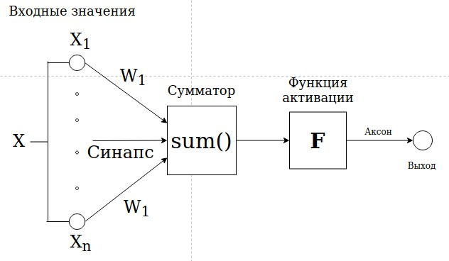 Математическая модель нейрона