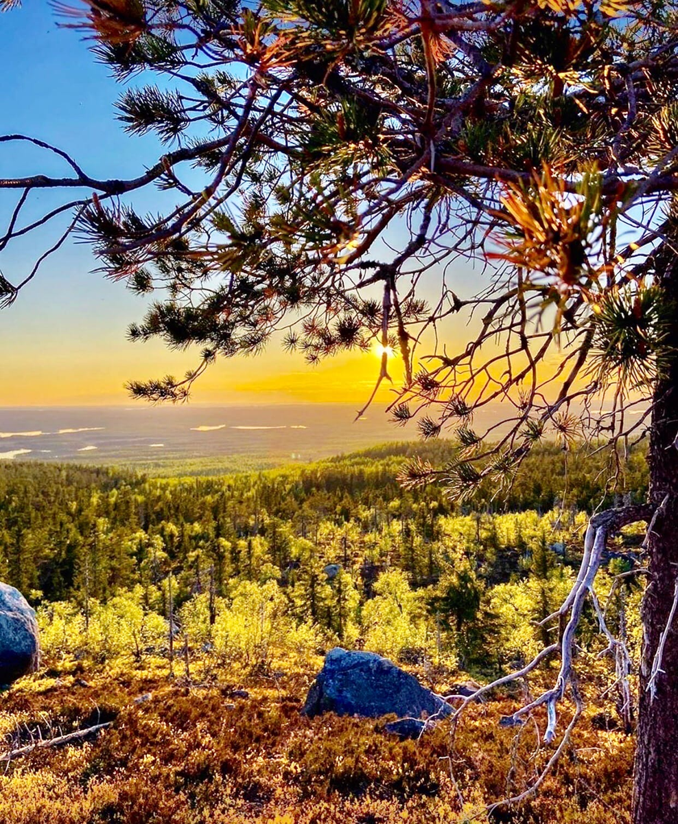 Источник: @karelia_online