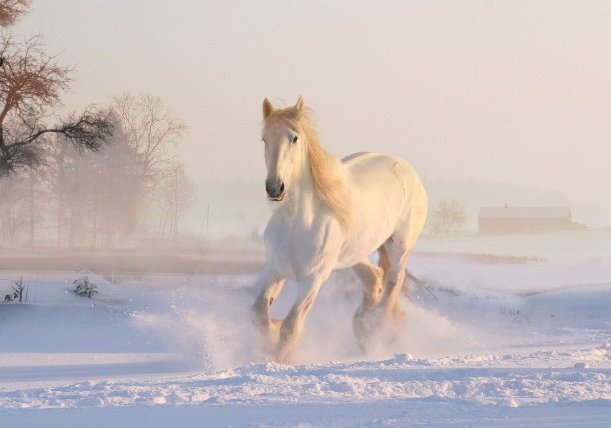 Фото взято с просторов Pixabay