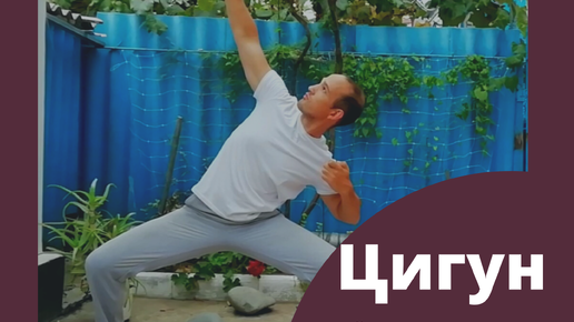 Алекс Анатоль цигун