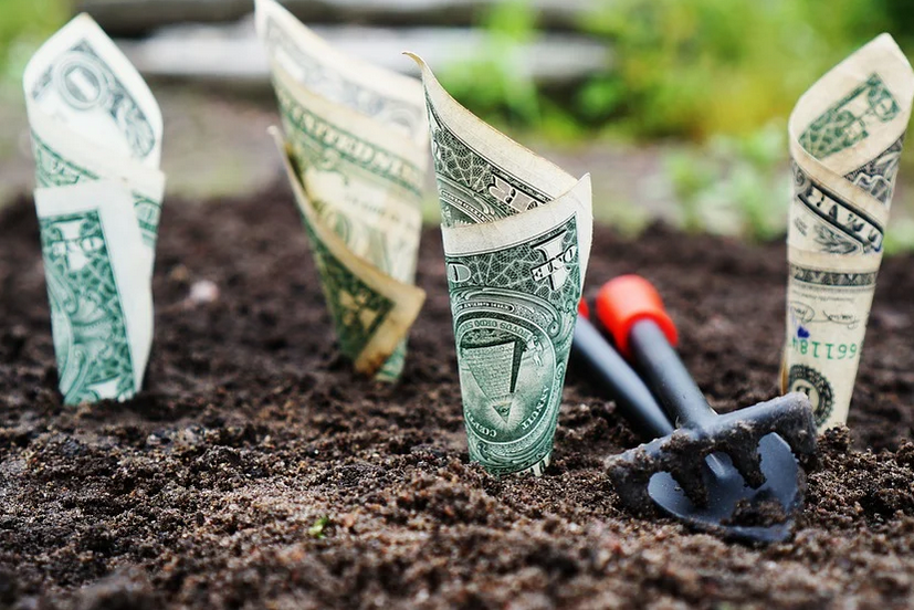 Денег дали в долг на свою голову...