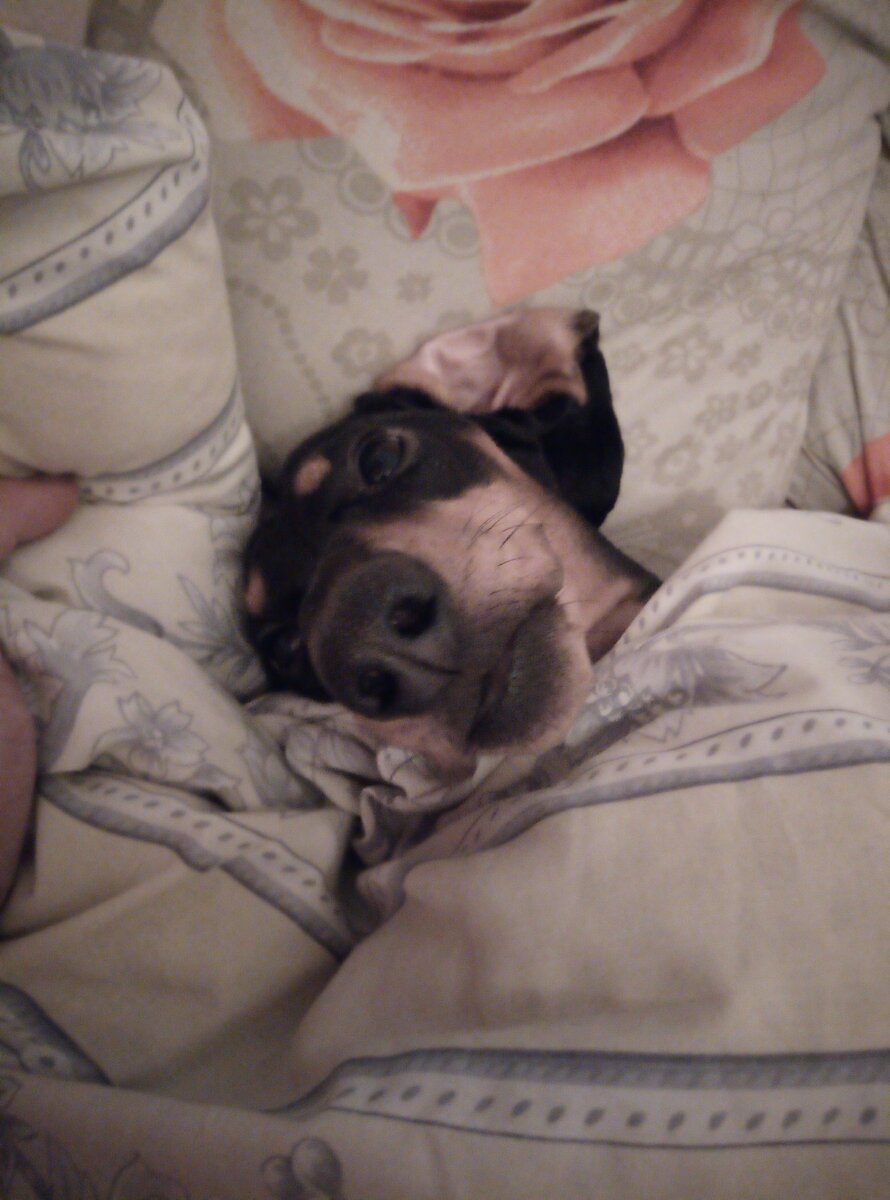                                                                              Фотография автора