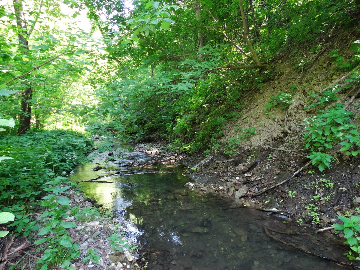 Кривцовская балка Щербаковский парк