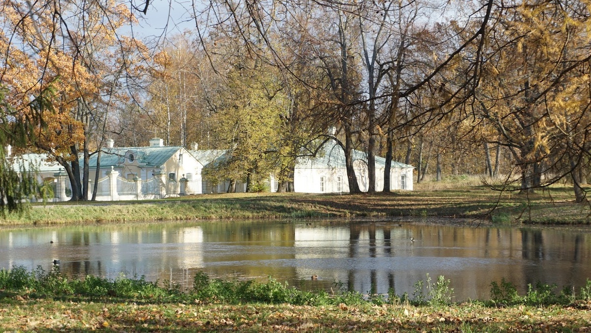 Фото сделанные на прогулке. Разве не красота?
