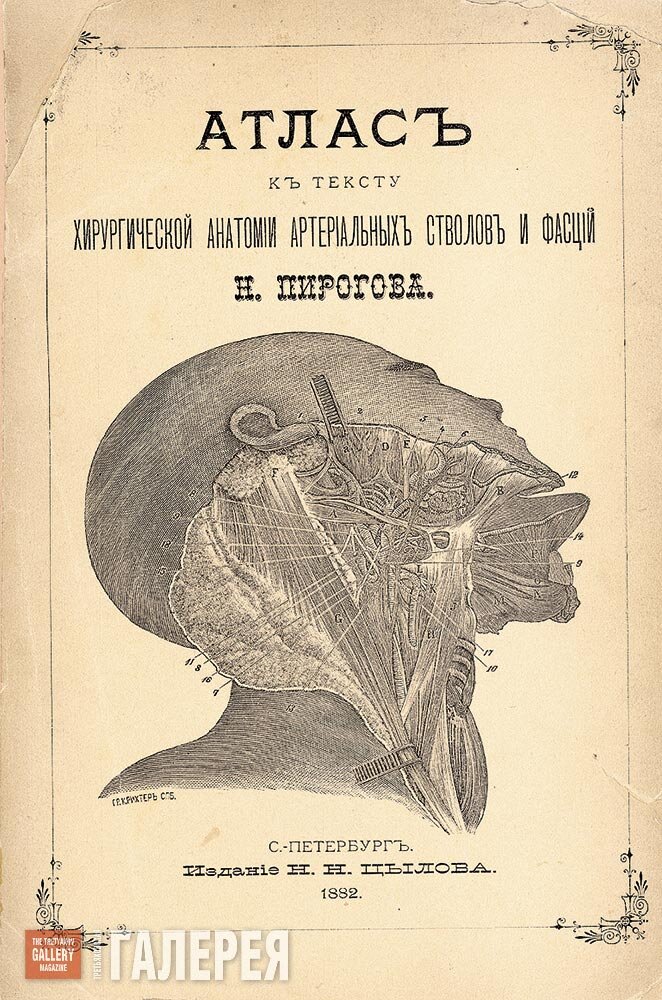 Хирургическая анатомия артериальных стволов и фасций