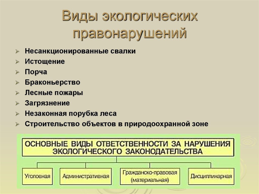 Виды экологических правонарушений
