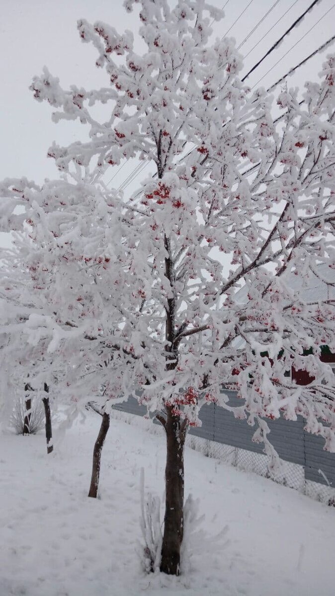 Фото автора.