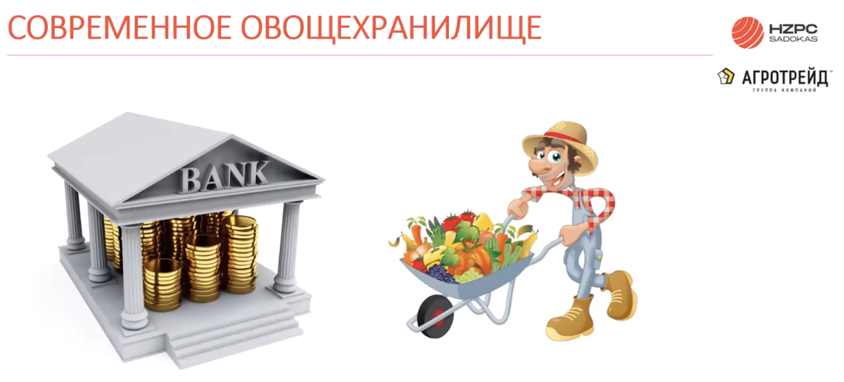 Фото: HZPC Sadokas
