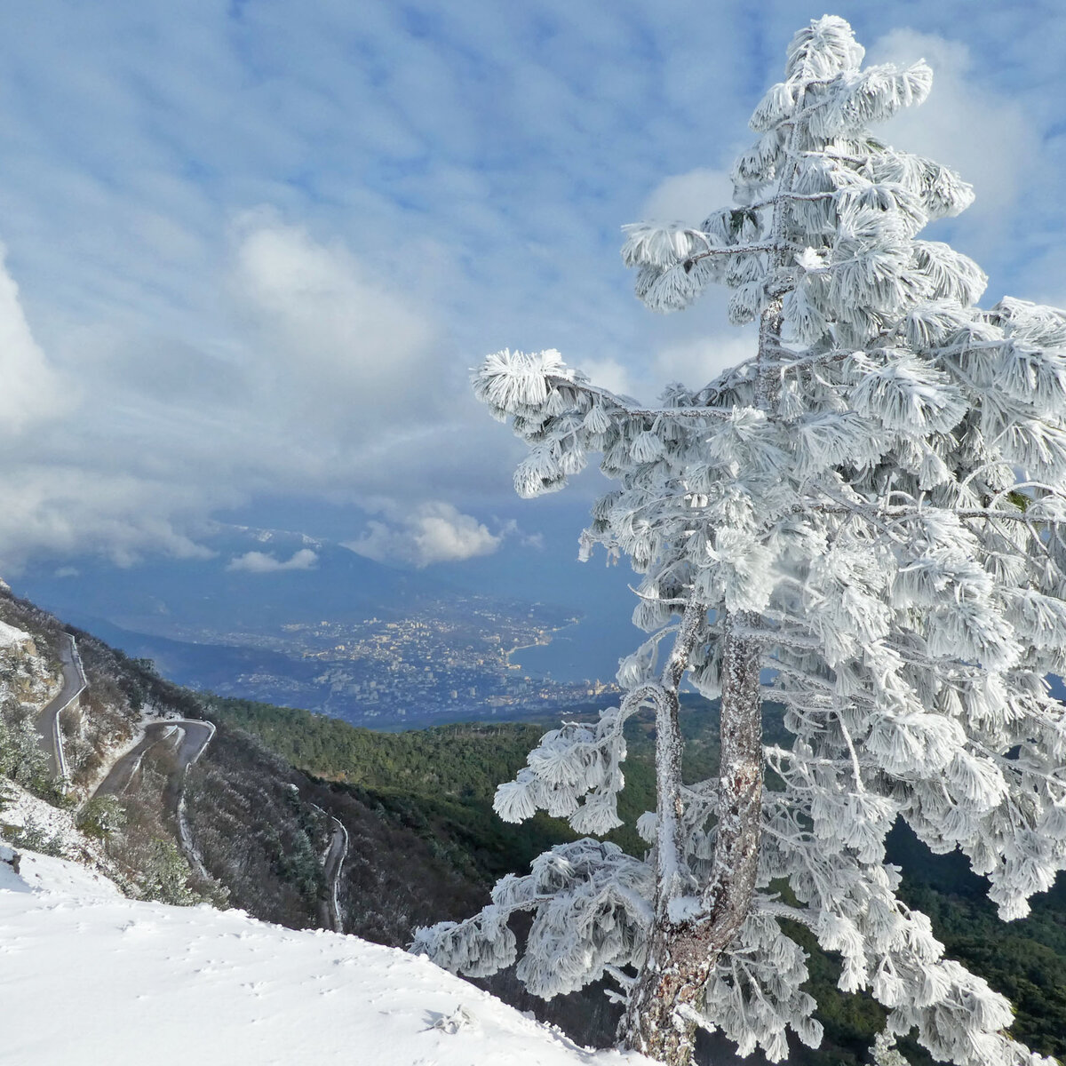 Наверху настоящая зимняя сказка, а внизу тепло, море, загорающие.