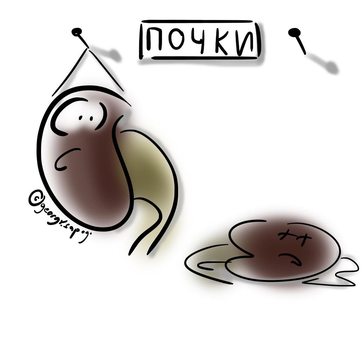 Почка отпала