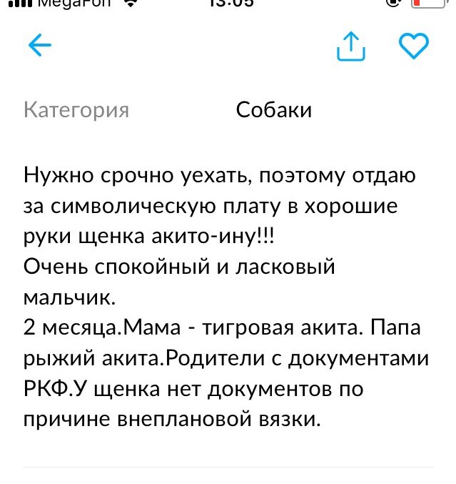 Конечно, внеплановая, кто бы сомневался.