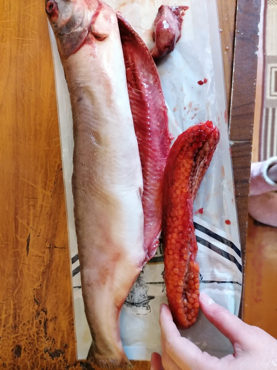 Вот она, моя золотая рыбка