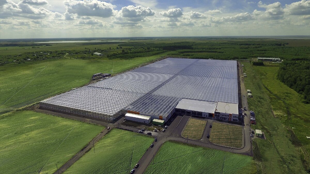 Вот он. Фото с официального сайта.