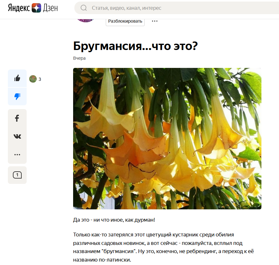 Скрин заголовка и начала статьи с Яндекс Дзен
