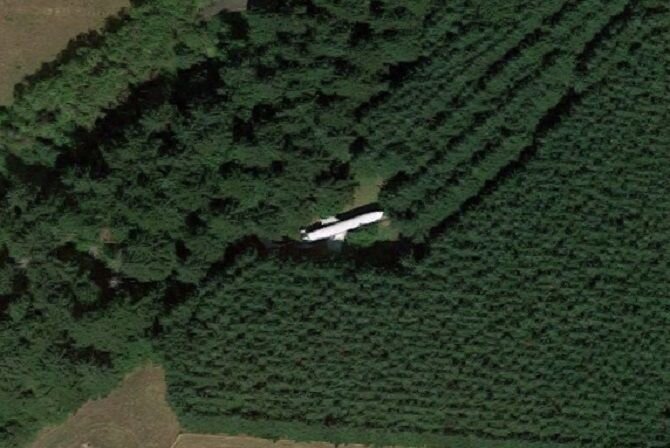 Фото закладки в лесу с координатами
