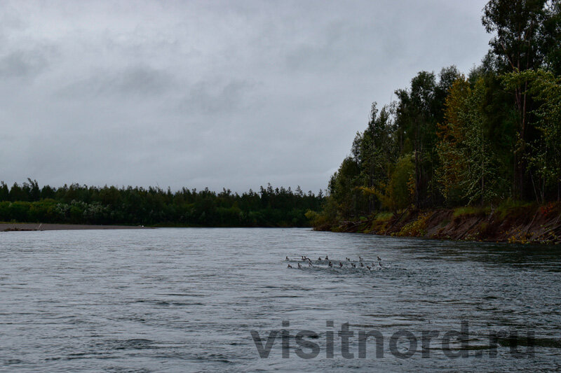 Как же разительно отличается дорога вперед от возвращения назад