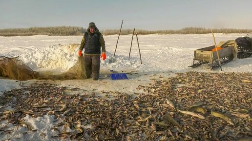 «Мёртвая» вода. Загарная рыбалка обских промысловиков