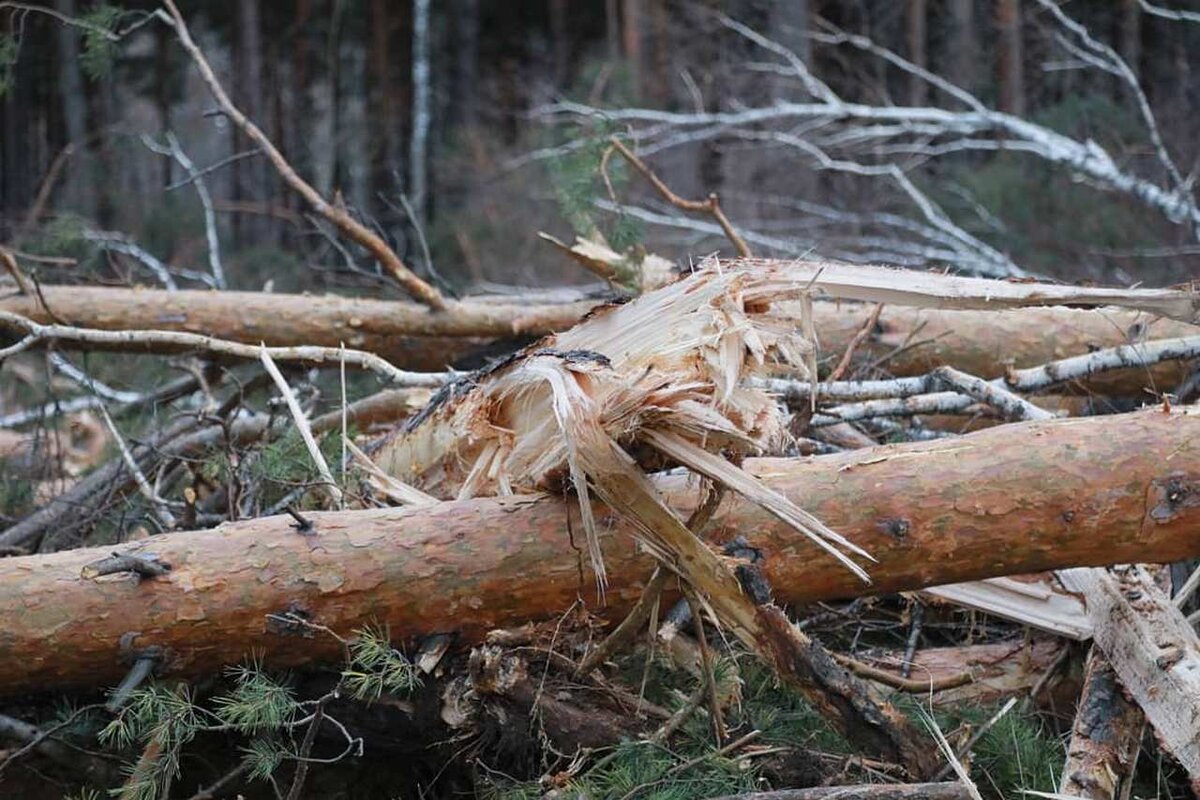 изображение с Yandex.kz
