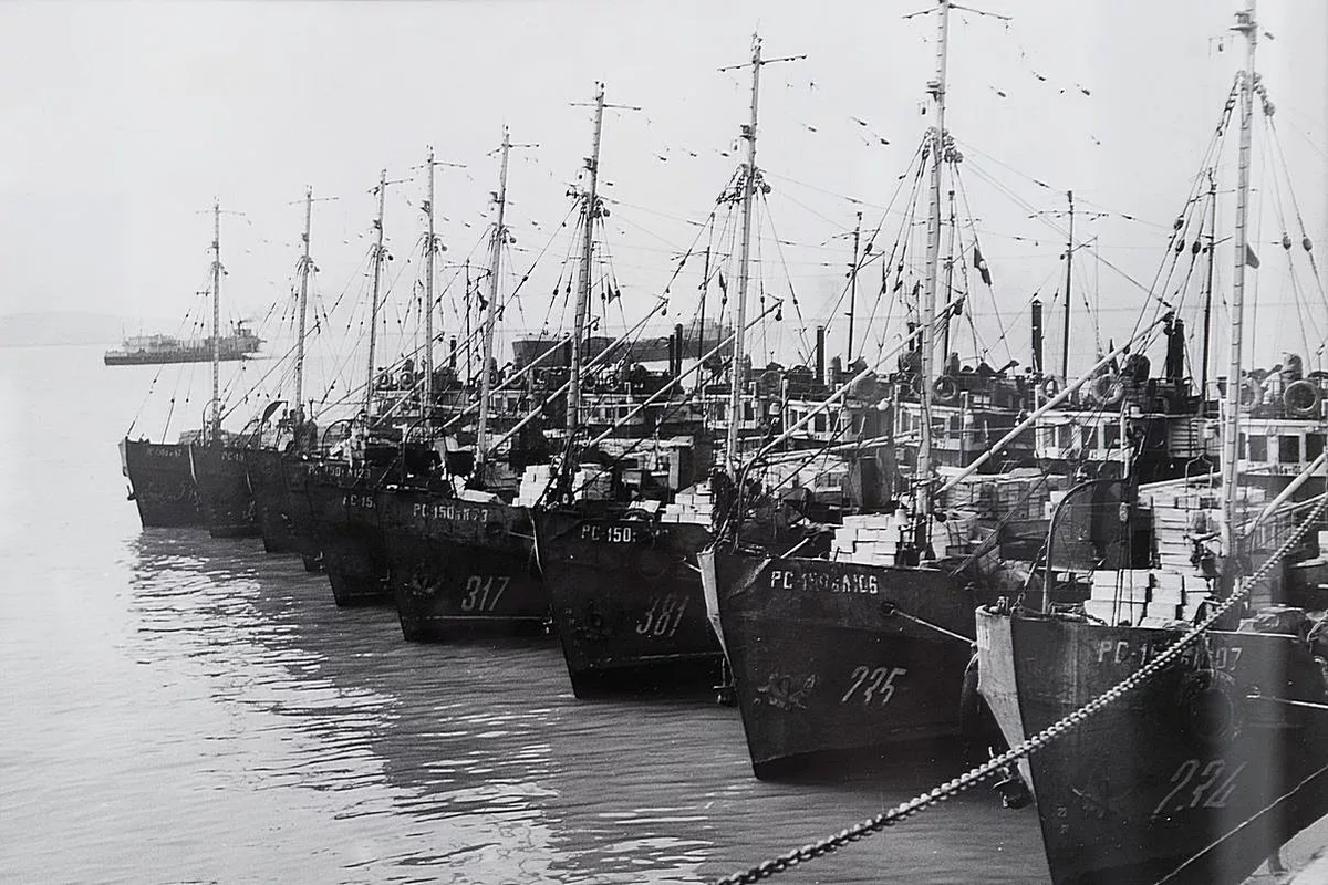 Старые военно морские. Мурманский траловый флот. Морской траловый флот Мурманск. Мурманский рыбный флот. Мурманский траловый флот суда