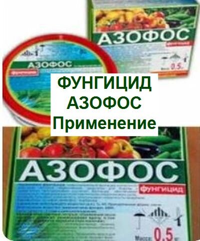 азофос