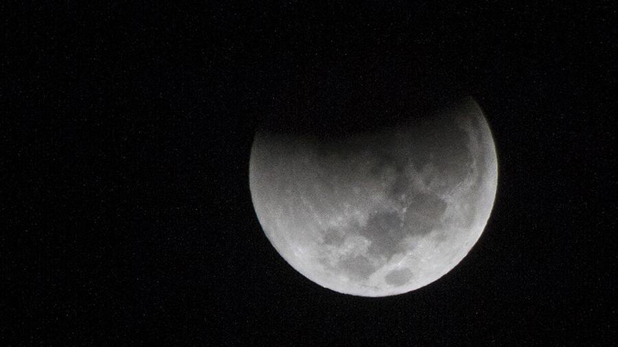 Фото взято из открытых источников 