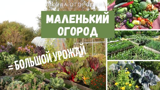 Большой урожай даже на маленьком огороде! / Как увеличить продуктивность своего маленького огорода