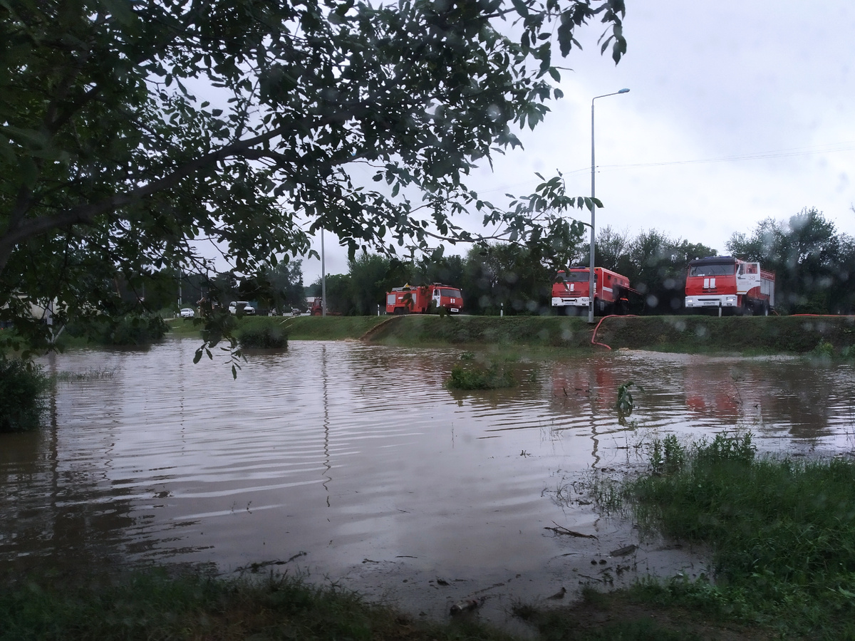 Виноградное