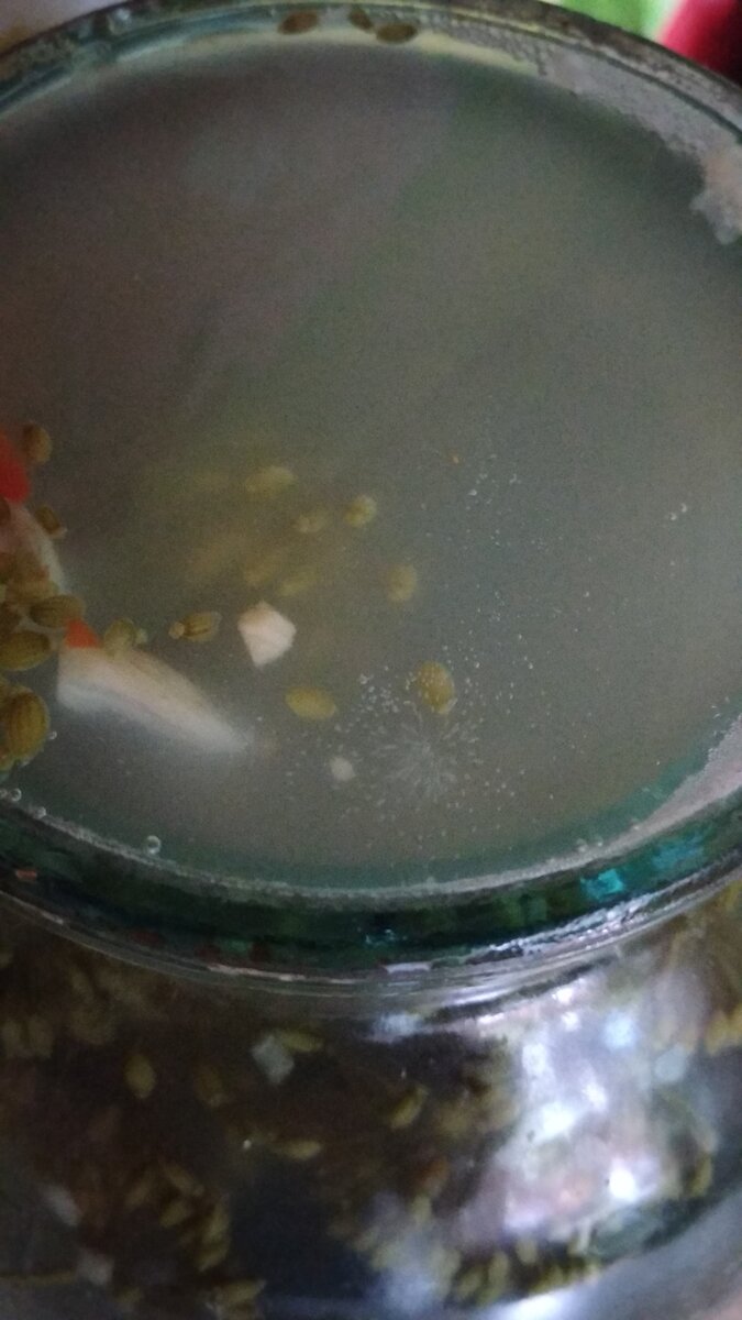 В рассоле идет процесс брожения