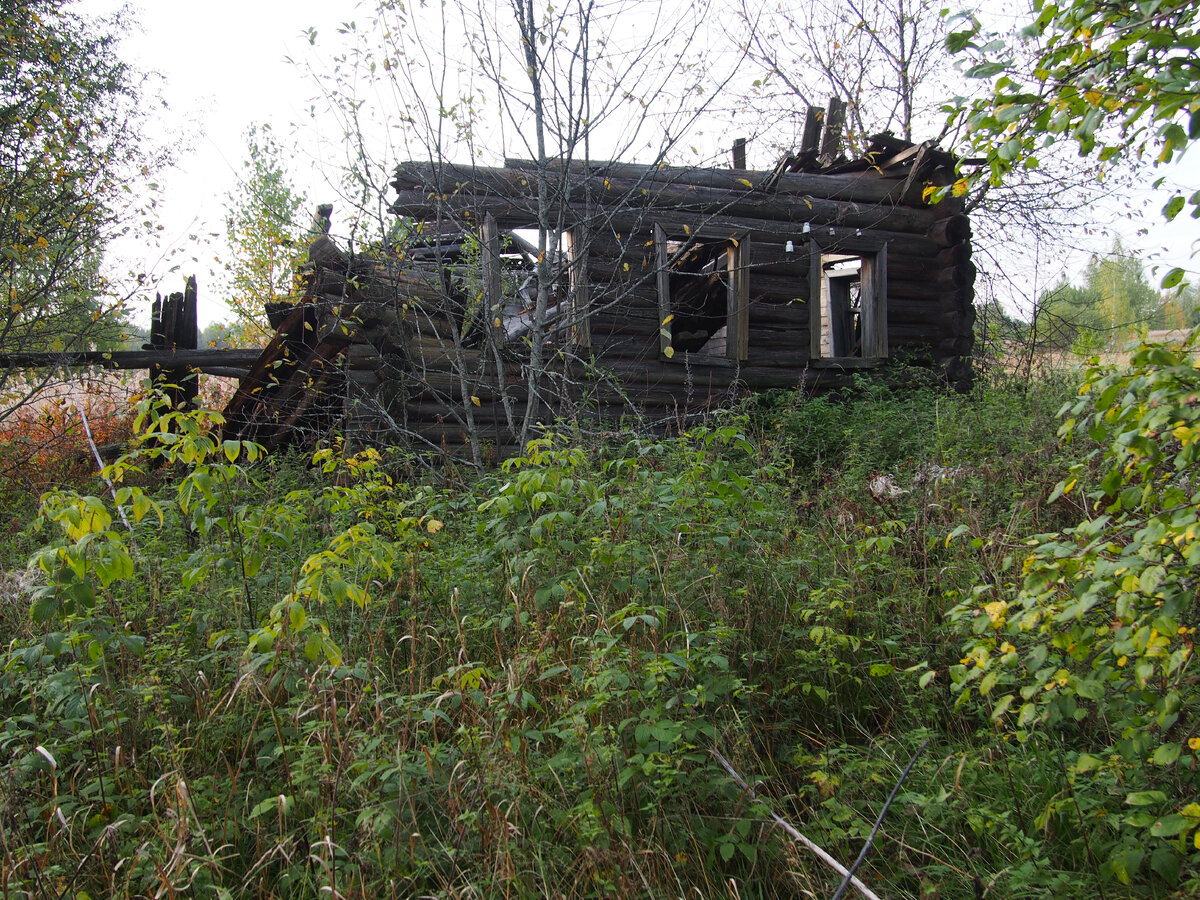 Печальное зрелище...