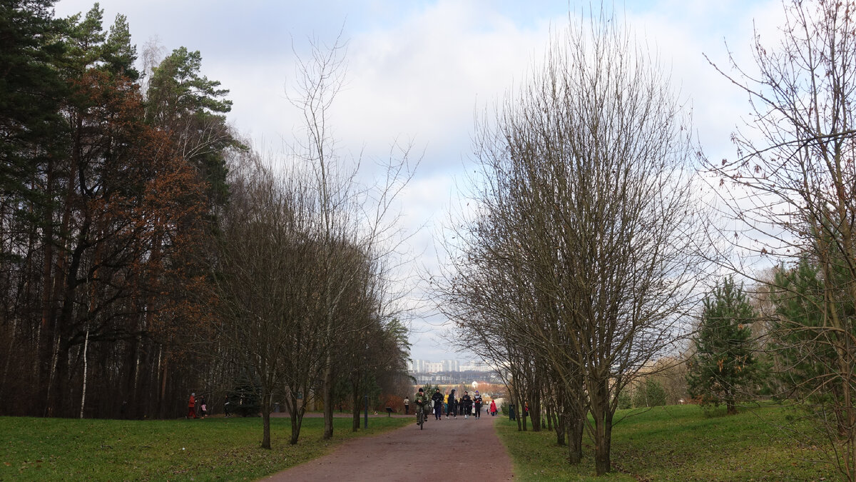 Подробнее - https://odinmirage.ru/nash-krai/dlya-aktivnykh-lyudej/832-meshcherskij-park.html