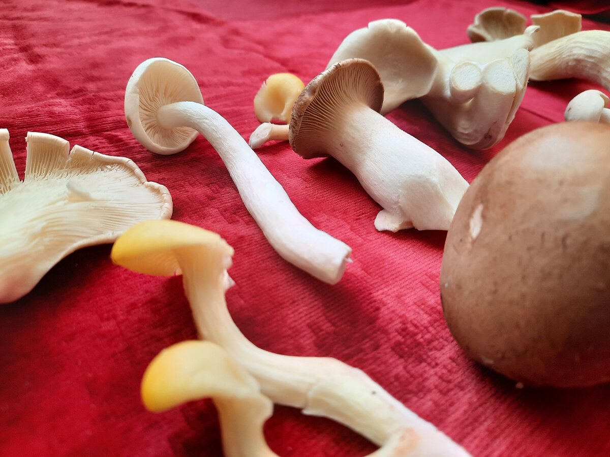 Из супермаркета. Фото автора