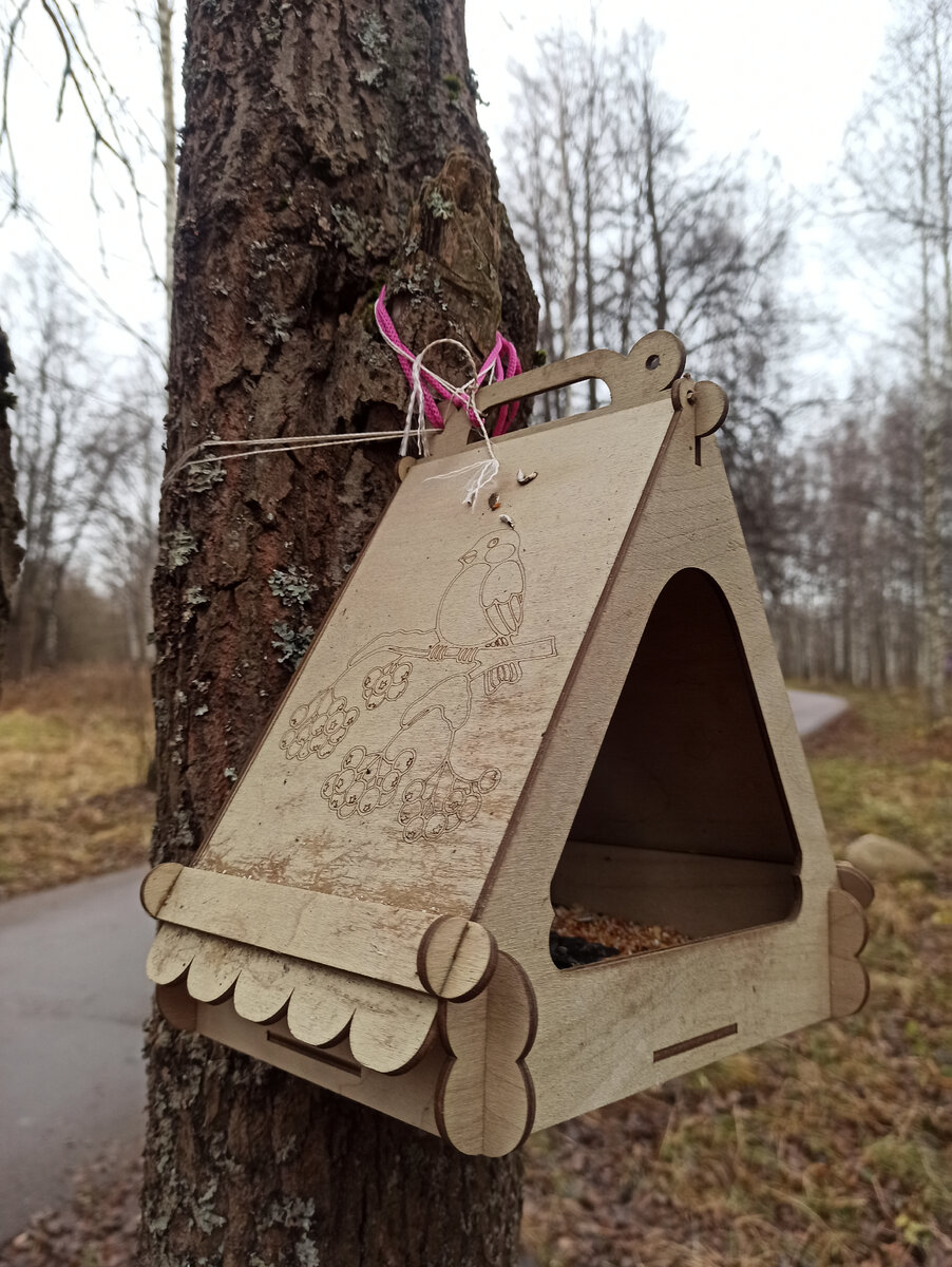 Парк. Кормушка