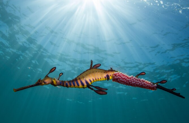 PHOTOGRAPH BY RICHARD WYLIE