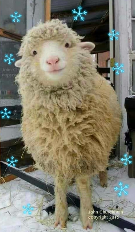 Чаще улыбайтесь 😊