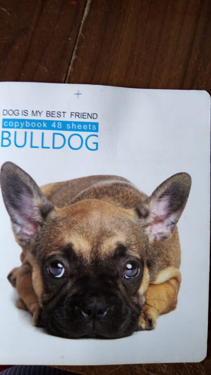 Вот и сам дневник, который я вела всю беременность