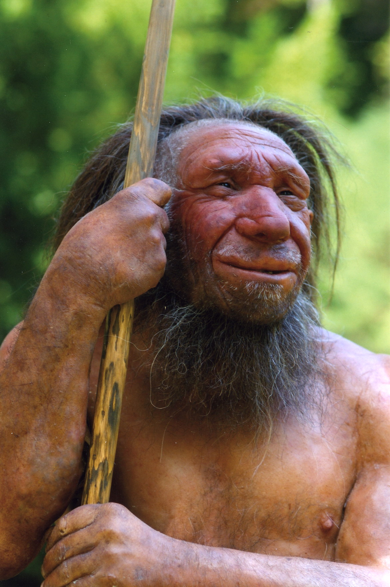 Неандерталец (Homo sapiens neanderthalensis)