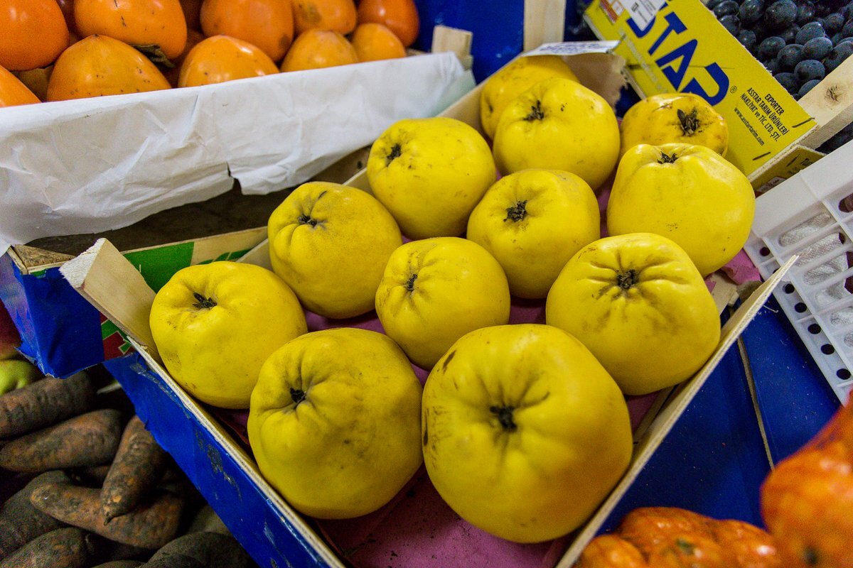 Ксения Зимина