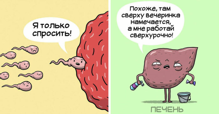 Иллюстратор Леонид Хан разобрал человека на части и представил, как поживают наши внутренности. Художник раскрыл характеры органов и рассказал о проблемах, с которыми они сталкиваются. Оказалось, что печень частенько работает сверхурочно, а мозг подчиняется прихотям мочевого пузыря. Предлагаем вам взглянуть на забавную жизнь, которая кипит внутри нас!