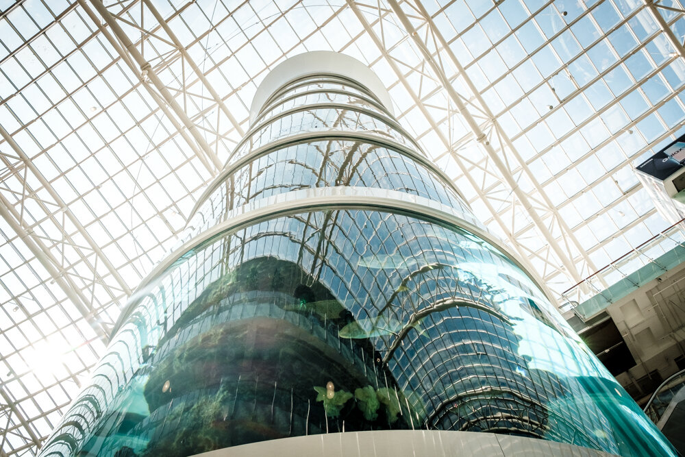  Его высота — 20 метров, диаметр — 6 метров. Аквариум вмещает 370 тысяч литров воды и 800 тропических рыб.