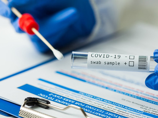 ФОТО: PEXELS.COM