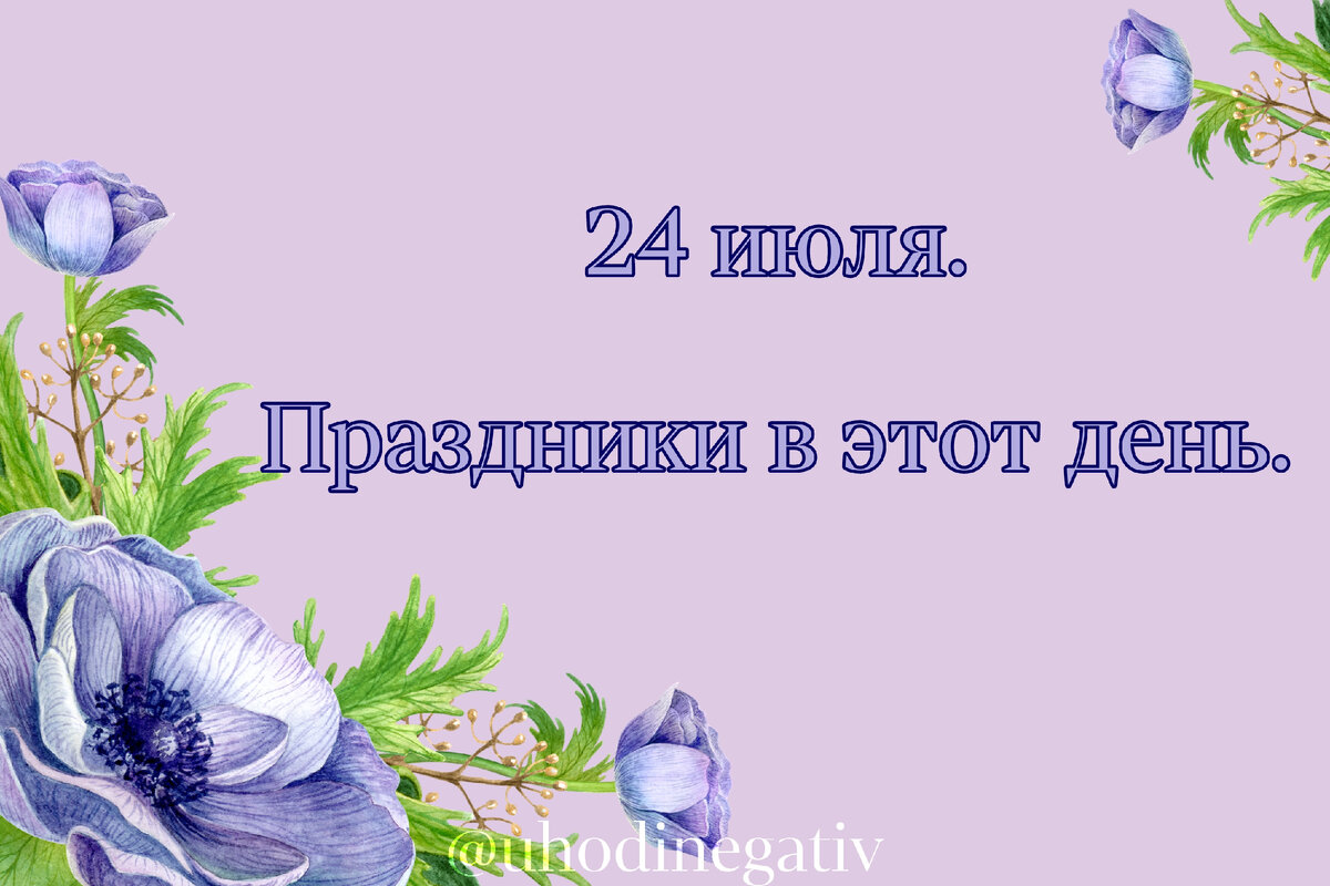 Фото: Анна Салтаганова.