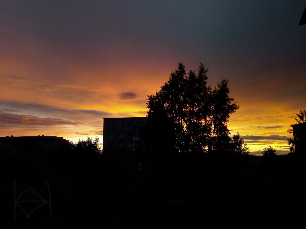 На фото вид из моего окна