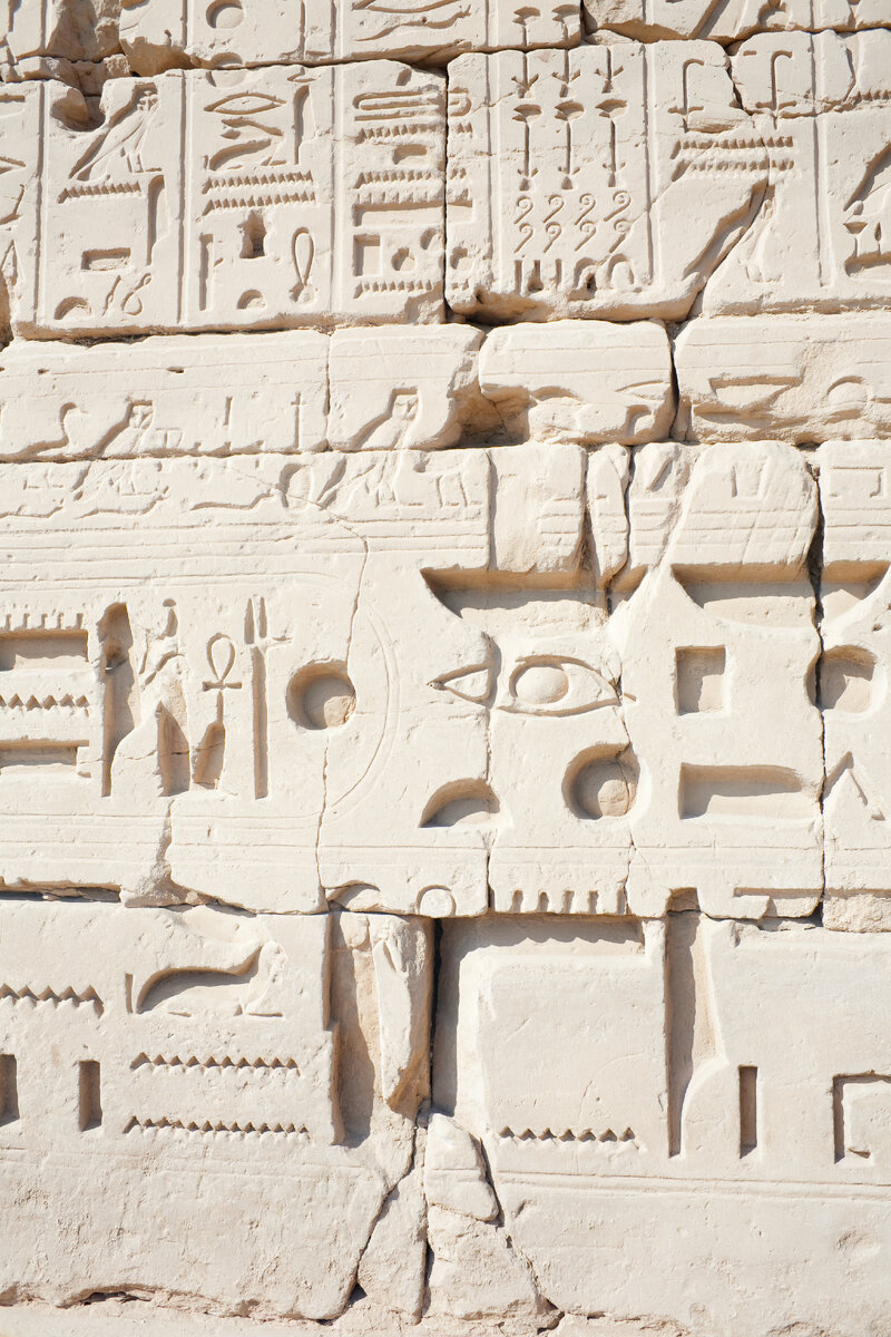 Фото создано @bearfotos - ru.freepik.com