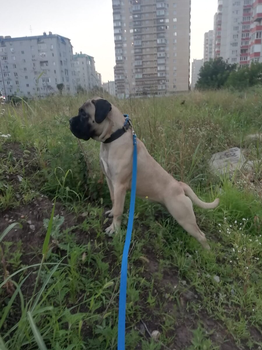 Моей Асти 7 месяцев