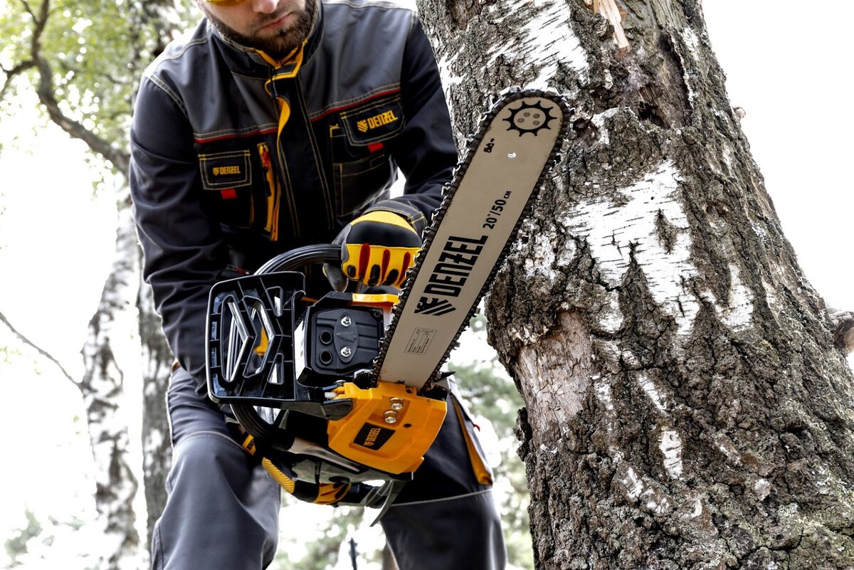 Готовь сани летом. Какую технику купить для осенних работ на даче