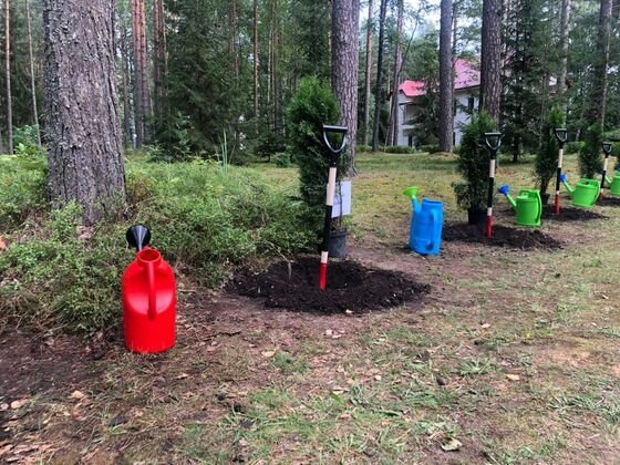    Посадка деревьев для «Сада памяти» Пресс-служба администрации Ленинградской области