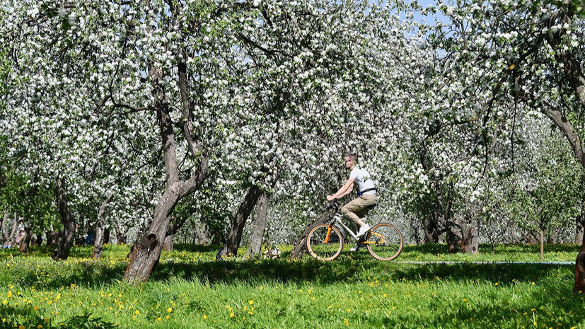    Ю. Иванко / Mos.ru