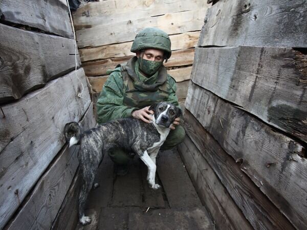   © РИА Новости Сергей Аверин